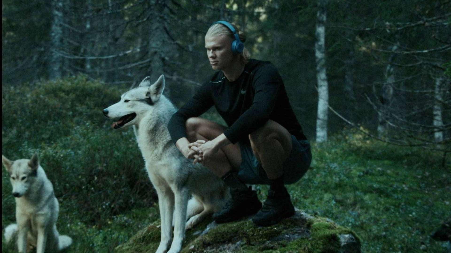 汰赛的部分 汰赛的部分